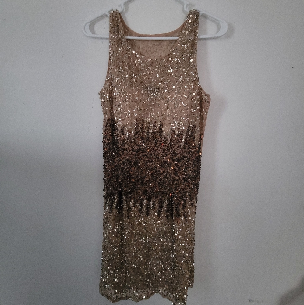 Adrianna Papell night dress/Homecoming dress/Prom
